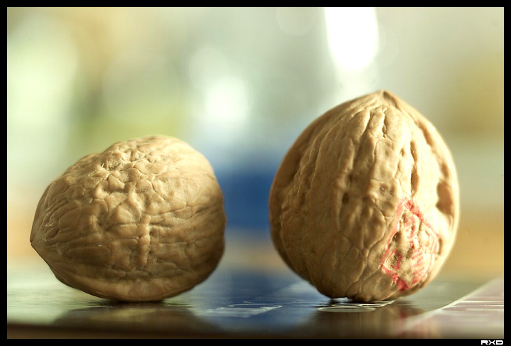 Кусочек солнечного дня. nutts, macro