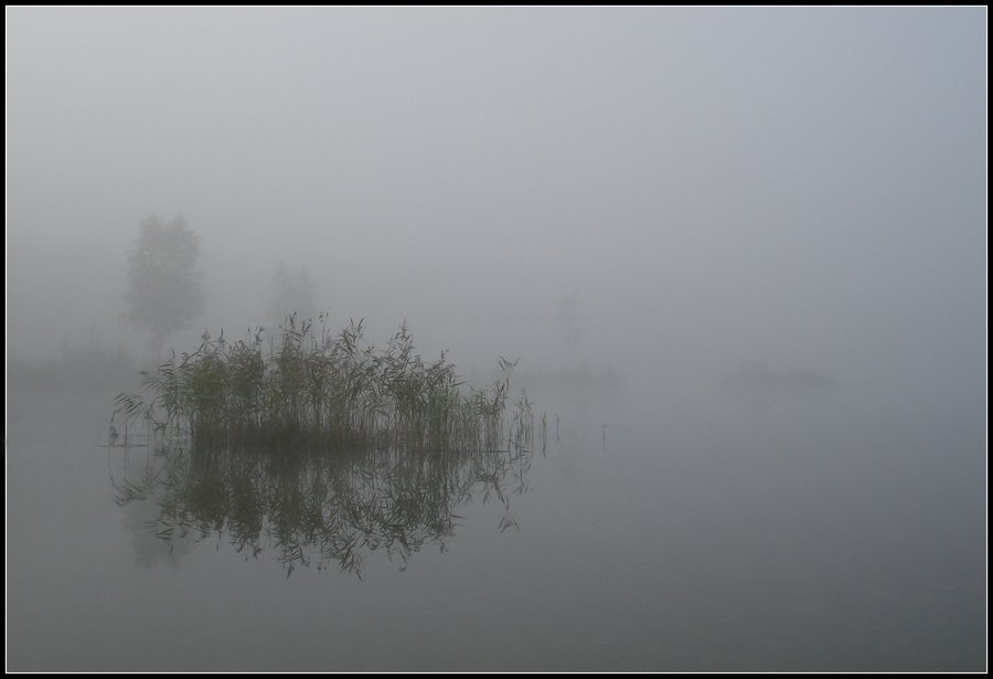 Размышления Туман