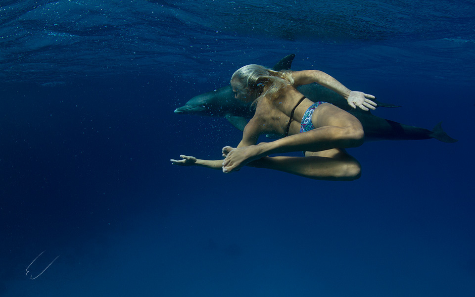 Catch the dream Red sea, vitaliy-sokol.com