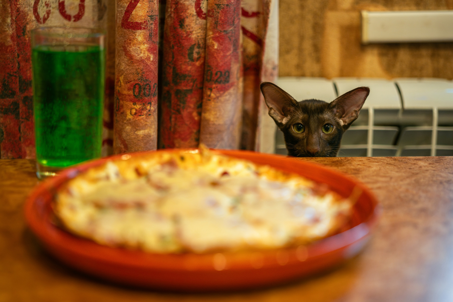 Кот 