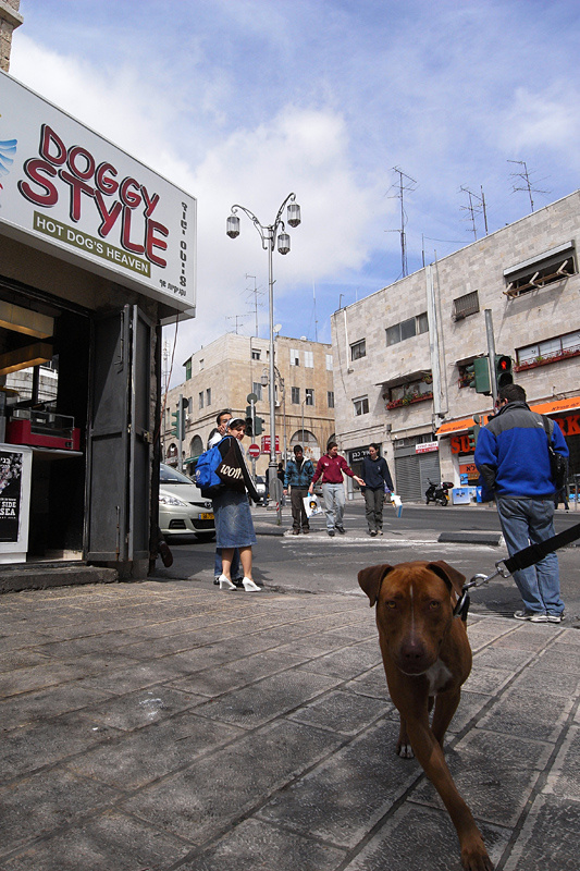*** street photography, Jerusalem , 2010, dog , Boris, Rozenberg