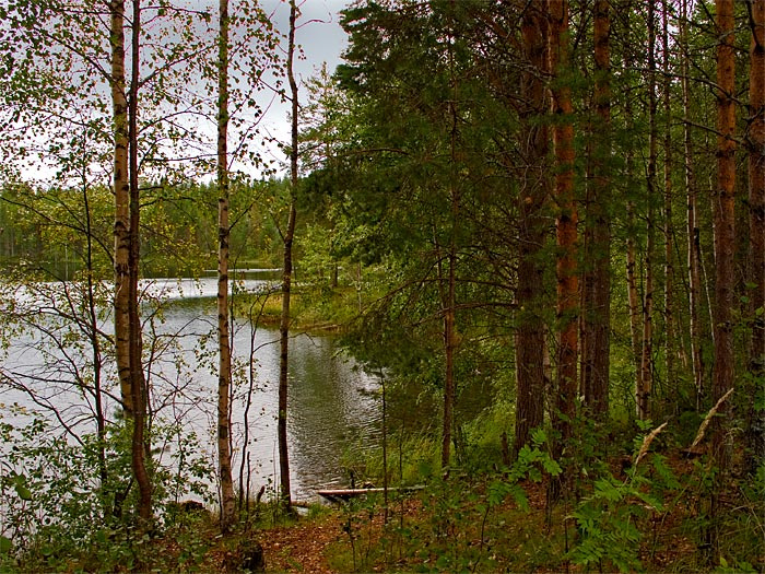 *** Карелия озеро лес