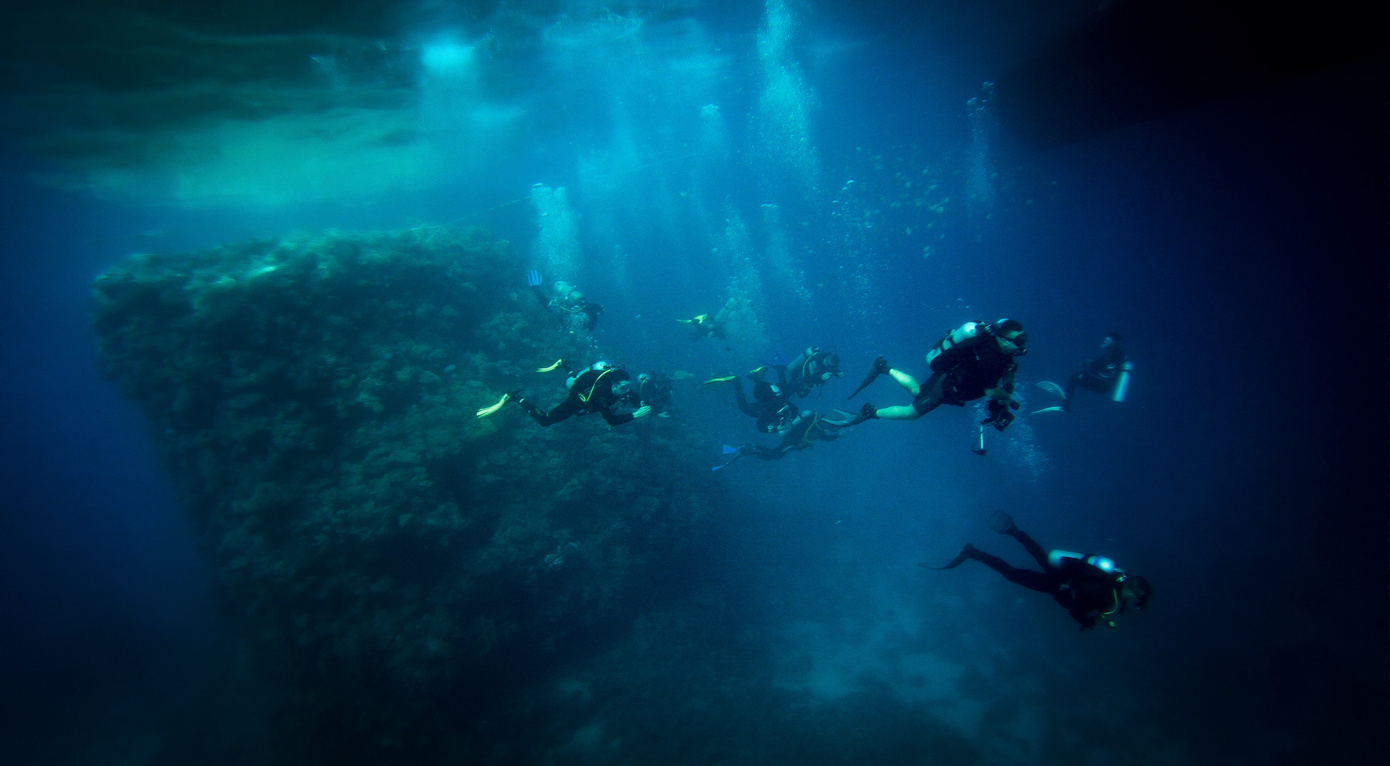Подводный мир красного моря. Подводный мир