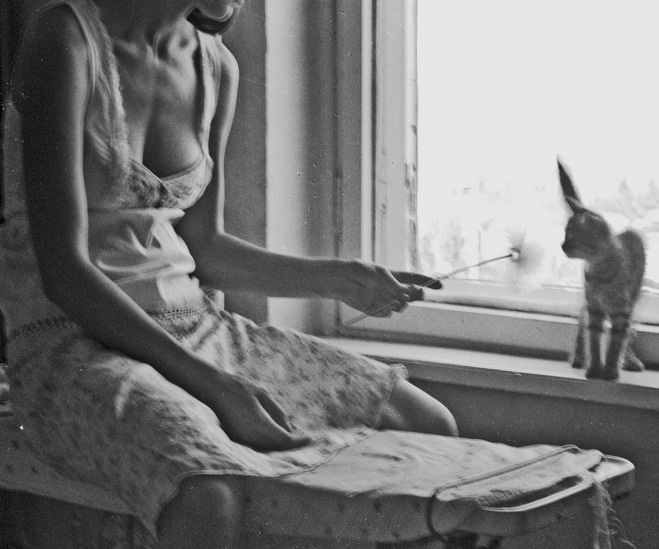 koshka_na_okoshke 