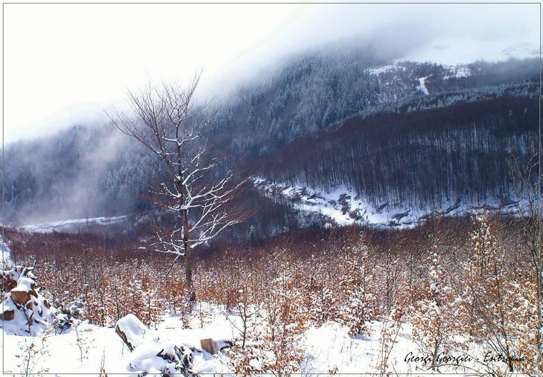Снежна самота Етрополе