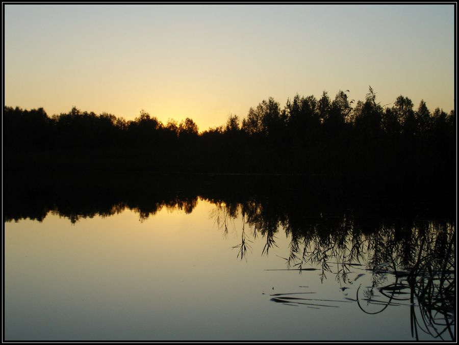 Silence 