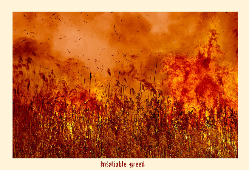 ~ Insatiable Greed  ~ 