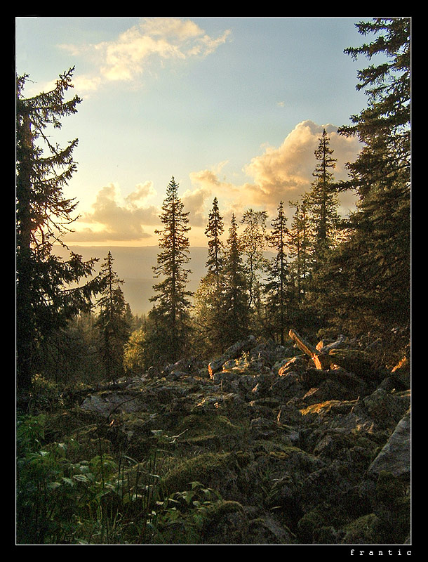 ..like jewels in the forest of veils Иремель