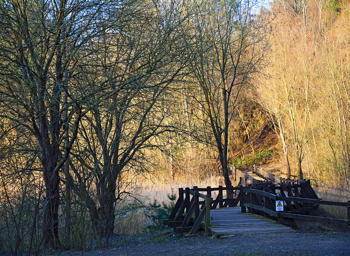 *** 