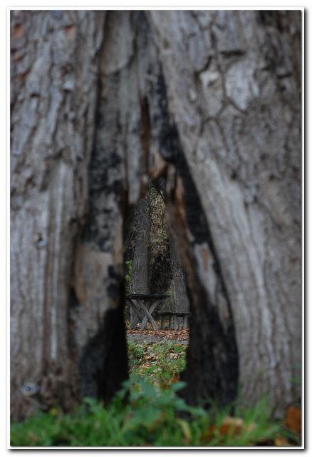 Сама Језеро