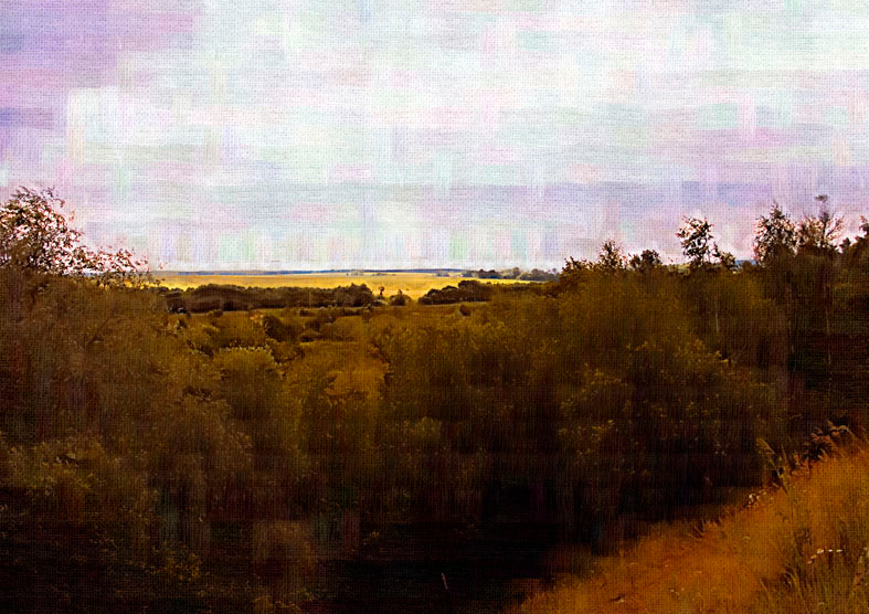 по мотивам Шишкина лес поле луг облака холст
