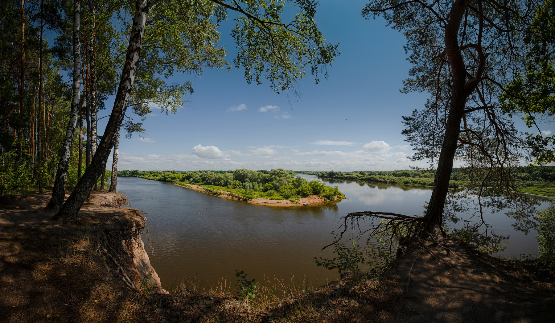 Левобережье Днепра июнь лето река берег лес