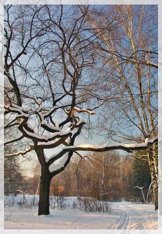 Февраль 