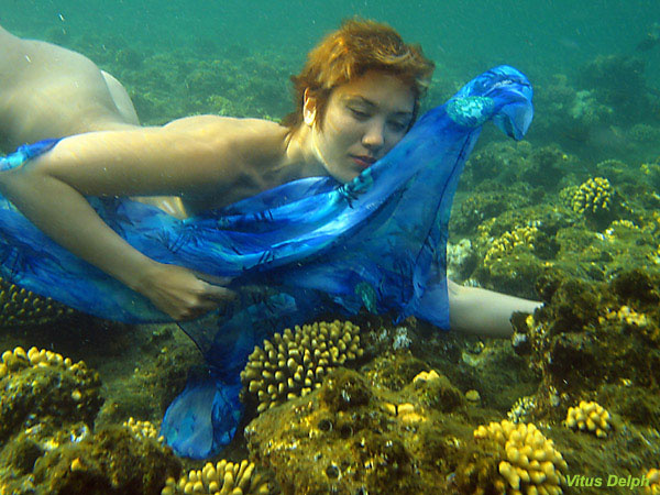 Water nimph#2 