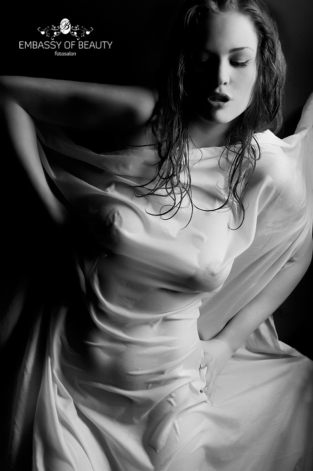 see thru 