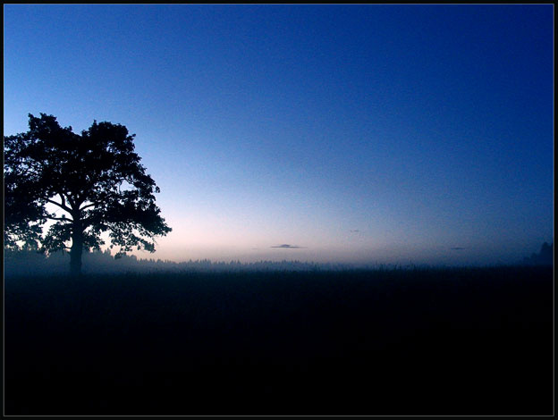 Deep Blue 