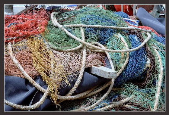 The Net 