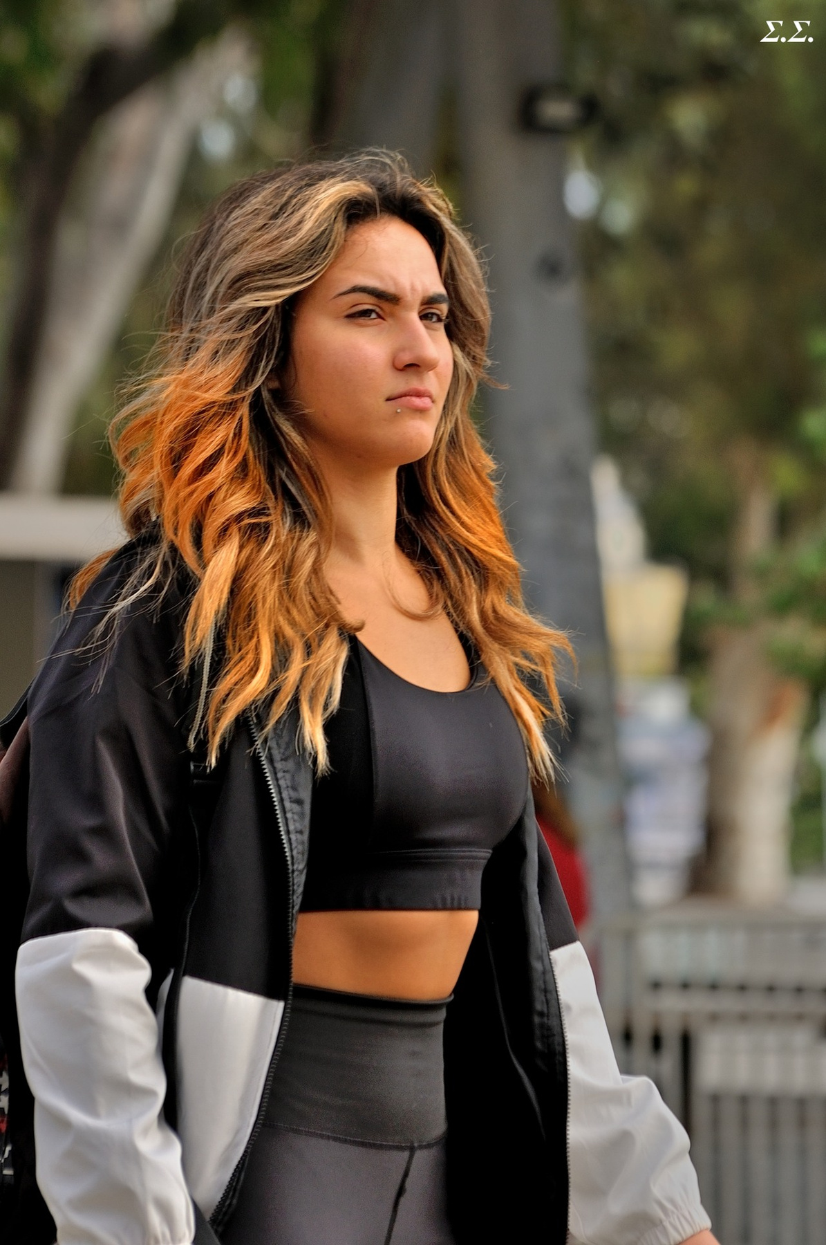 LIONESS 