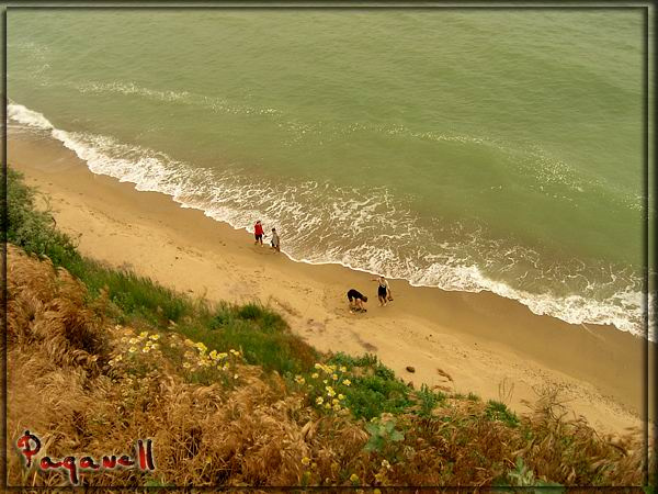 лето мир труд май... море вода песок