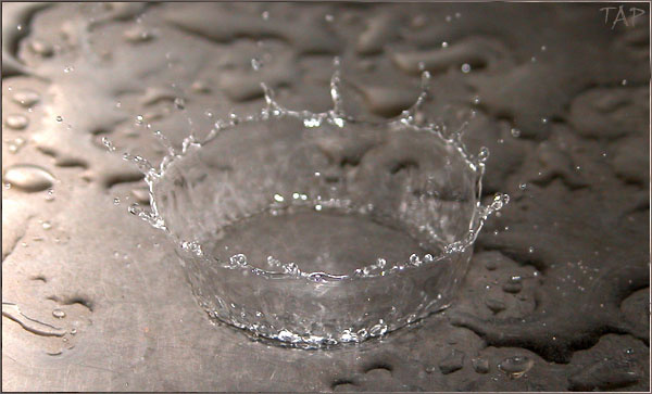 Корона Водной Империи кухня, раковина, капля