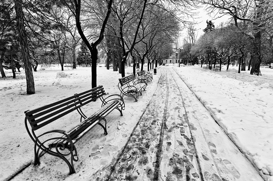 следы города 