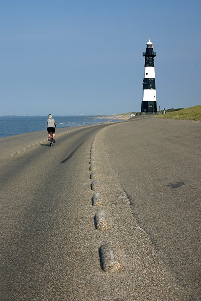 Полоски strips lighthouse Zealand