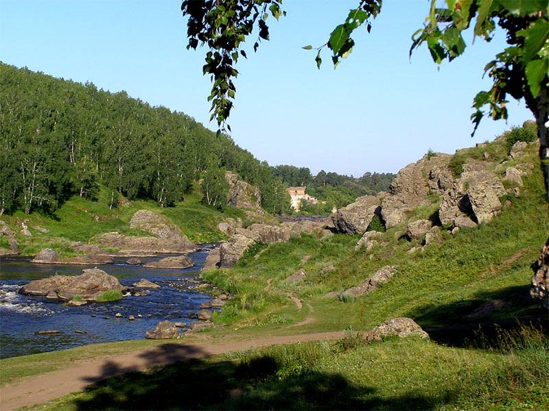 * * * береза река камни берега