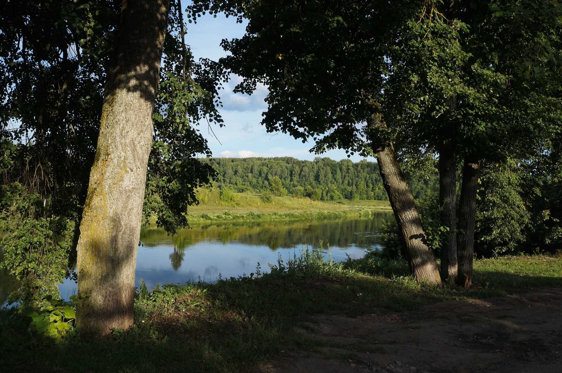 Недавнее лето 