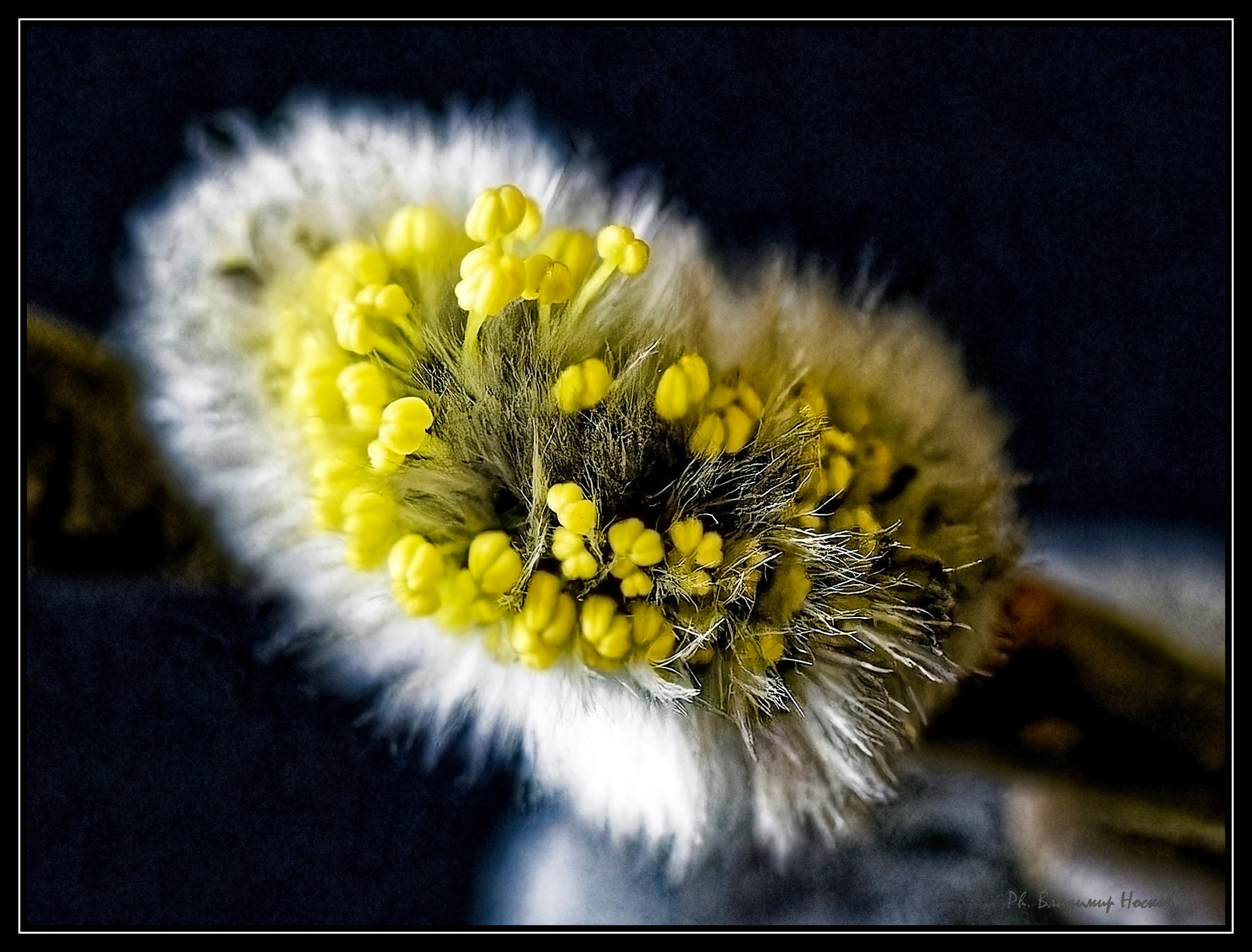 ***МАКРО*** macro макро