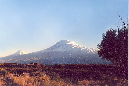 ARARAT ARARAT