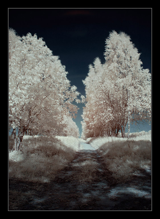 INFLIGHT infrared ИК IR инфра
