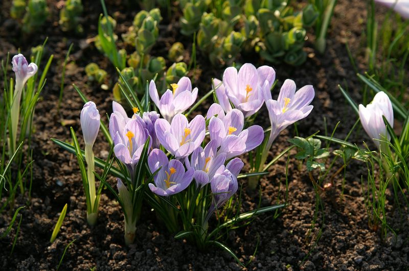 Весеннее 