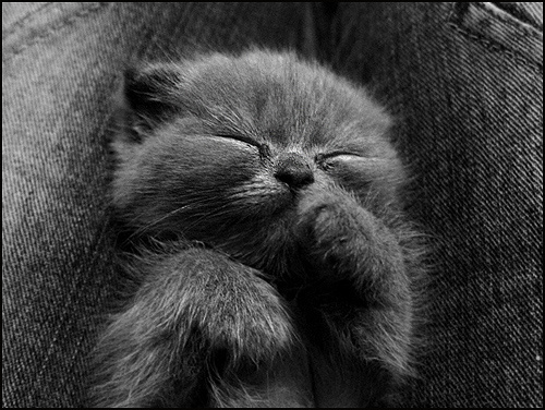 Тёма спит. 