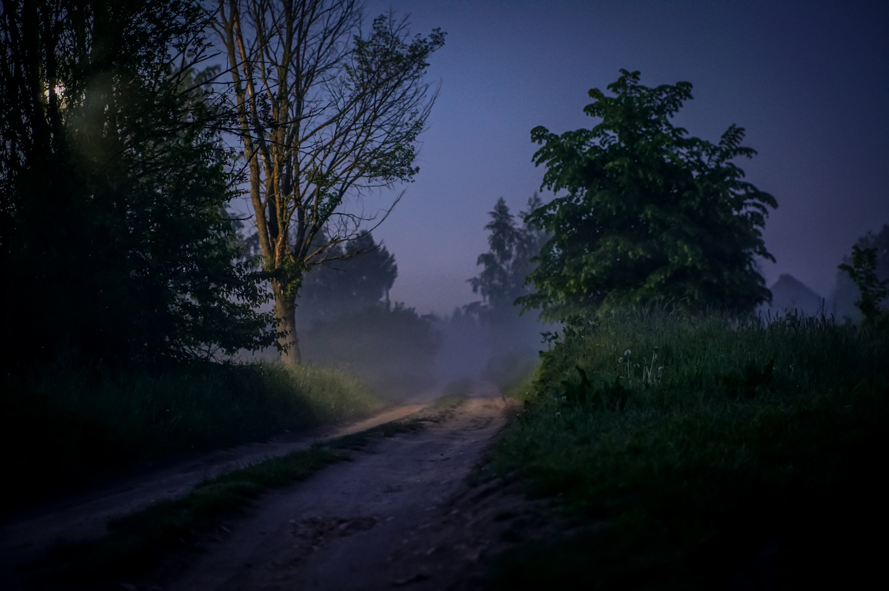 Ночная дорога 