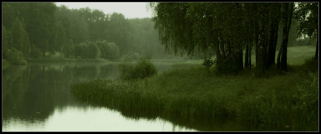 зеленое настроение природа Беларусь Горки nature Belarus Gorki