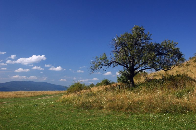 Лужок в горах втачник словакия горы