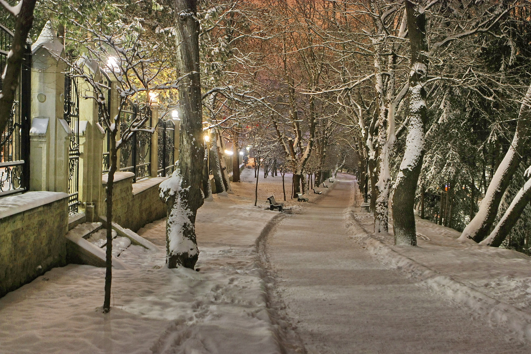 вечерняя прогулка 