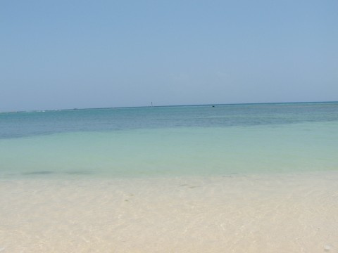 Caribian 