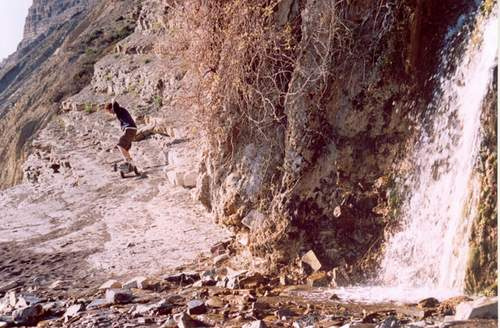 Anapa 2003 портрет природа