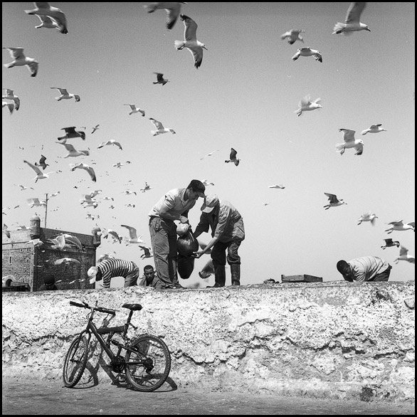 Essaouira Essaouira