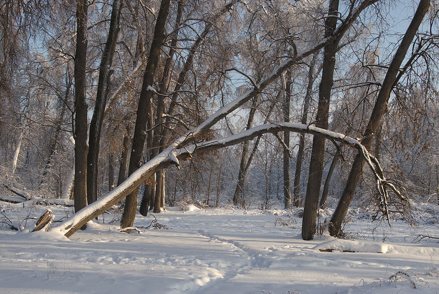 Начало года. 