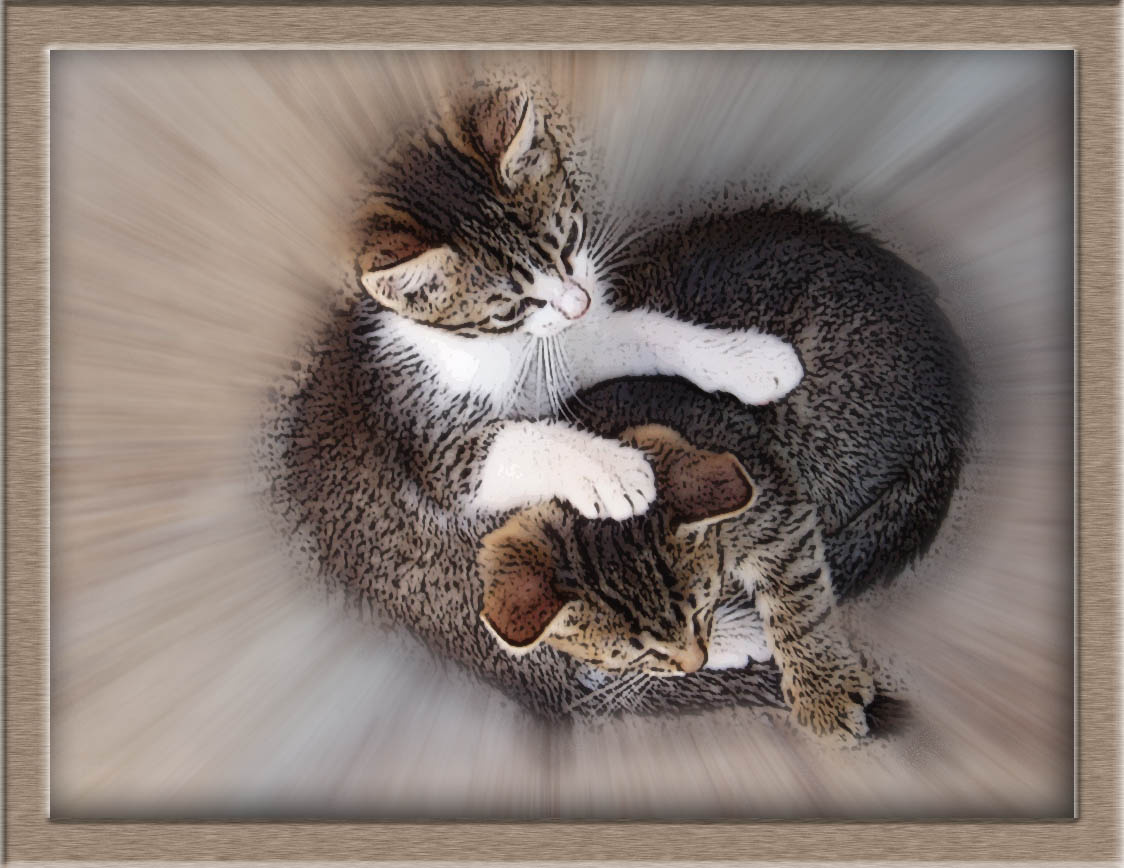 котята в рамке (было бы очень приятно услышать коментарии) котята рамка игры 2