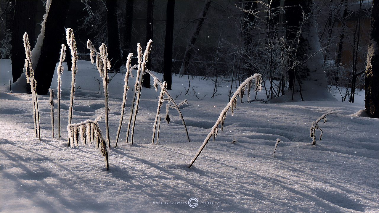 Крапива Зима, Снег, Крапива