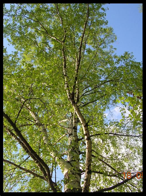 up 
