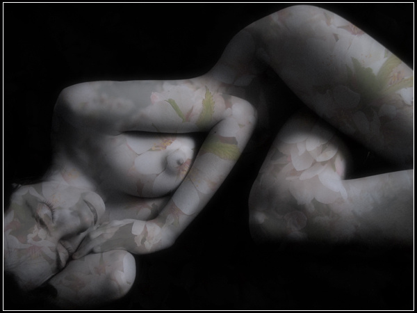 [spring] 