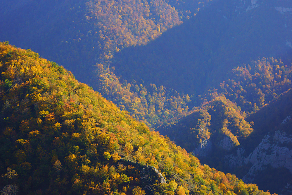 Осень 