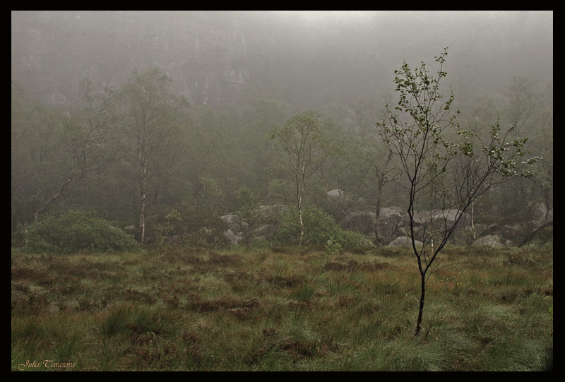 Туманная туман misty following the road tp Preikestolen