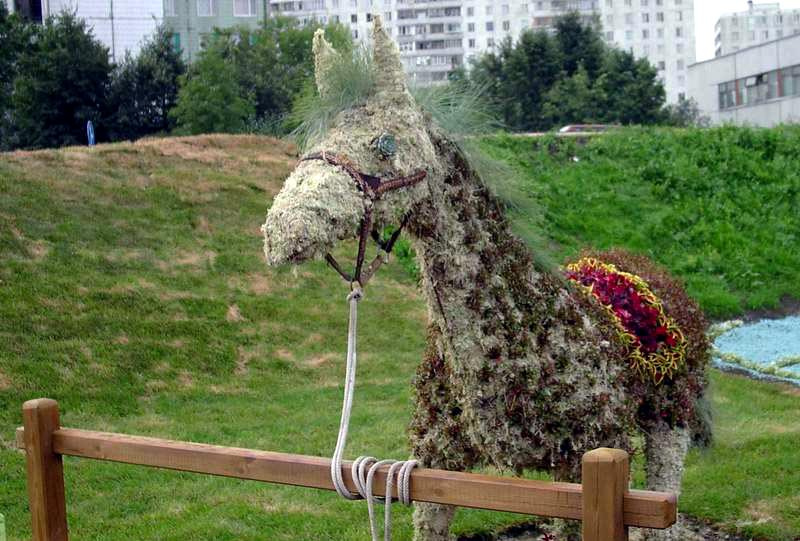 лошадка 