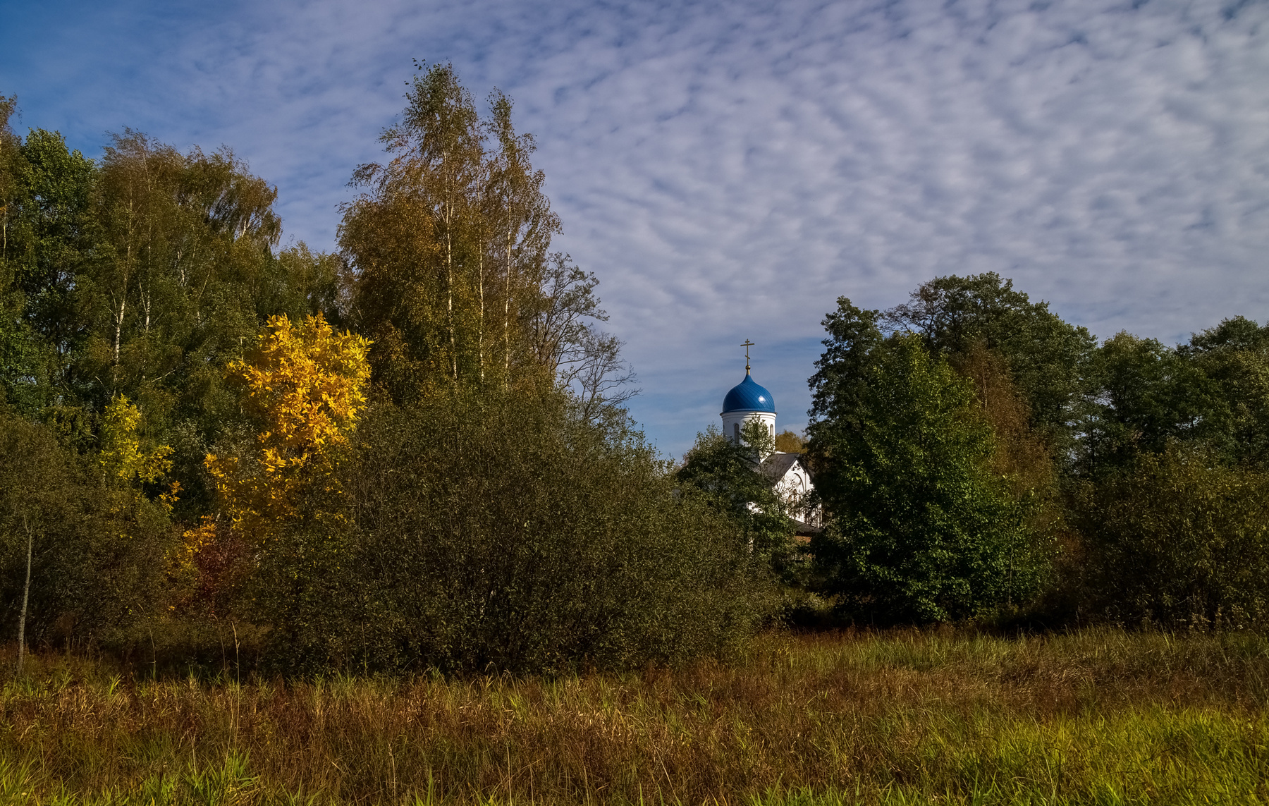 Теплая Подмосковная Осень # VII 