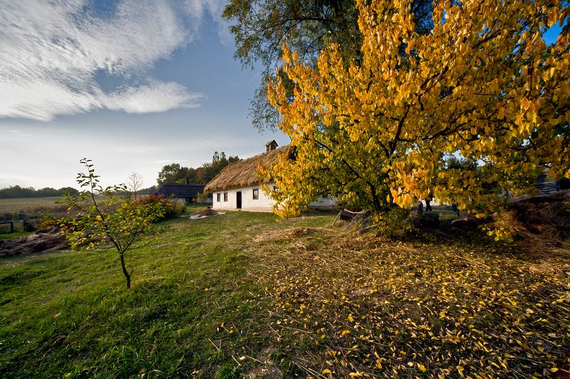 осеннее кантри... осень